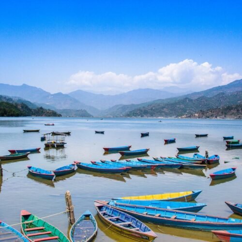 Nepal Tour – Kathmandu • Chitwan • Pokhara