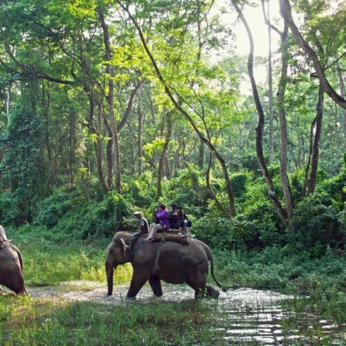 Nepal Tour – Kathmandu • Chitwan • Pokhara