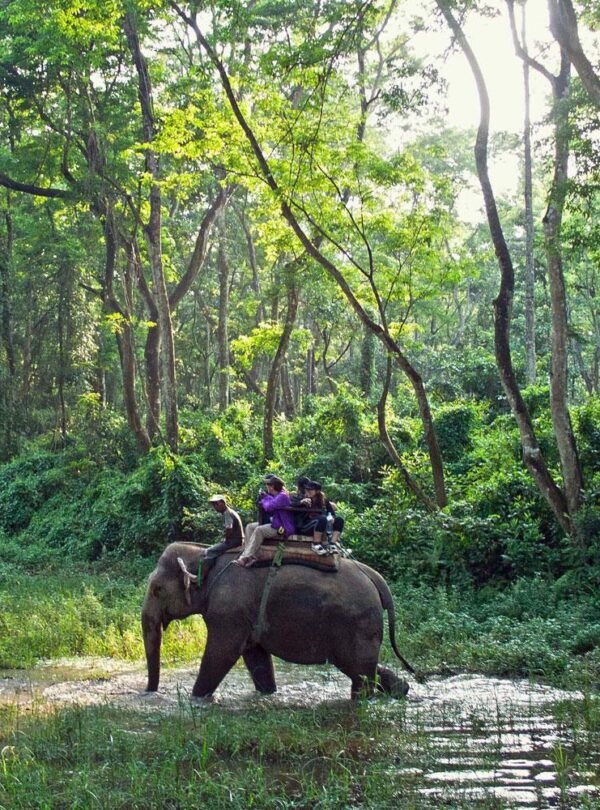 Nepal Tour – Kathmandu • Chitwan • Pokhara