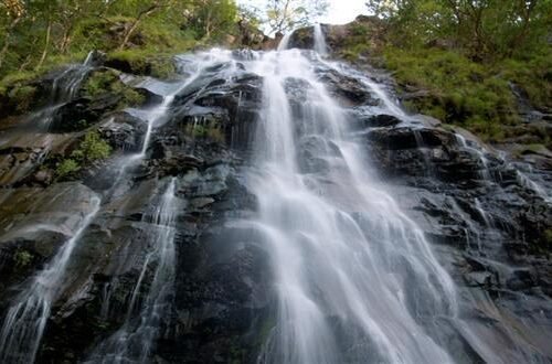 Pachmarhi Escape – The Queen of Satpura